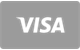 zoomecasino-aud-com_Visa-card-flat.png
